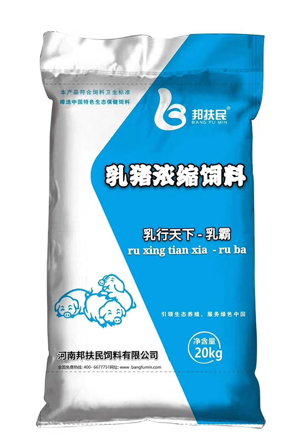 乳猪花季传媒黄色影视片